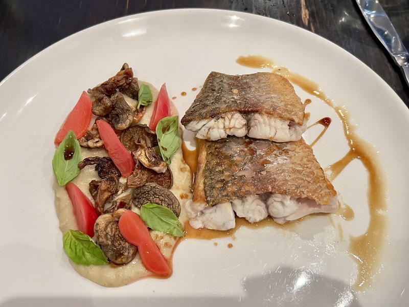 Barramundi