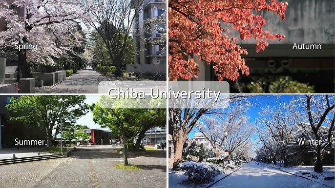 Trường Đại học Chiba Nhật Bản: Điều kiện, học phí, học bổng 2025
